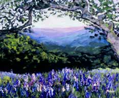 Monterey Lupines