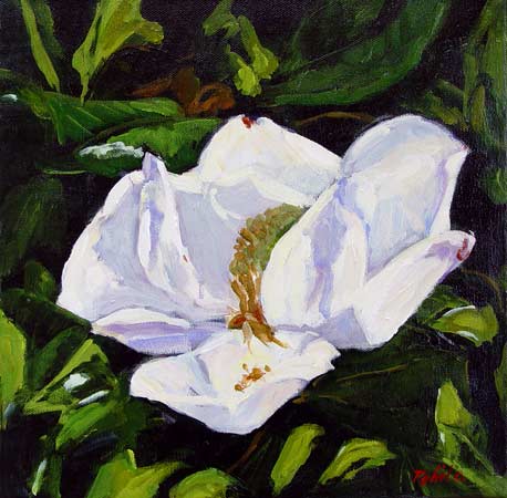 Magnolia III